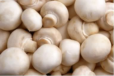 Magic mushrooms come in only 2 real species, neither of which are "lepta".  Mushrooms from the genus psilocybe account for most magic mushrooms (i.e.