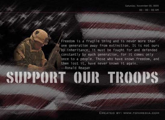support_our_troops.jpg Support Our Troops image by badboi_305