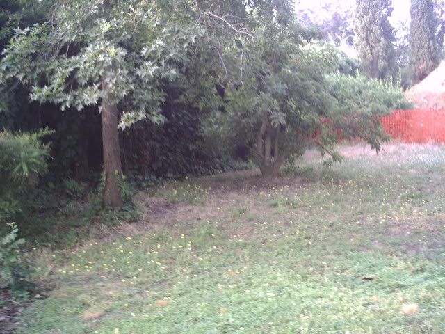 PIC00023.jpg