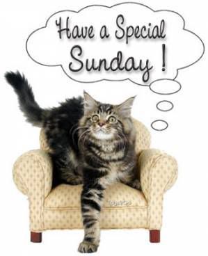 have a special sunday