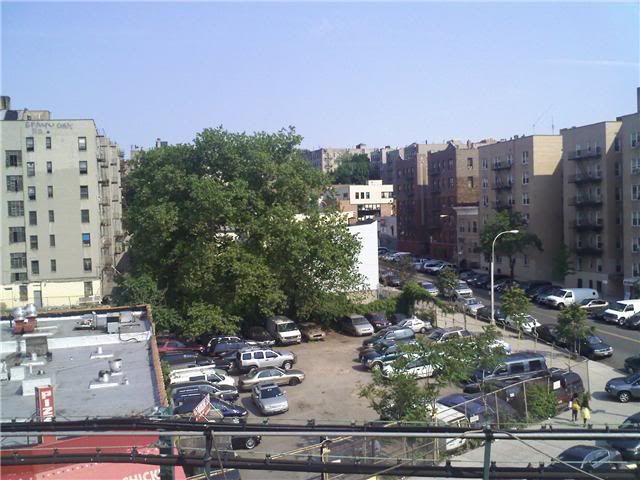 Bronxshots2.jpg