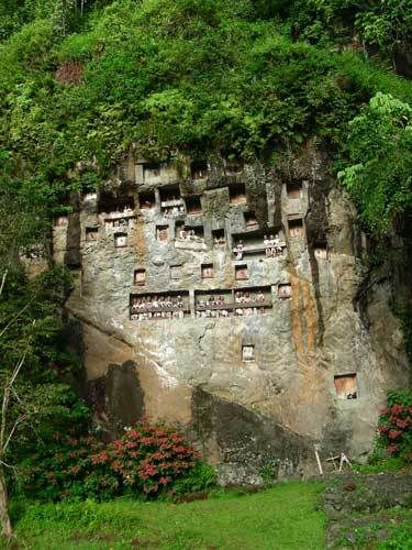 Индонезия: Papua-TanaToraja-Gili-Bali-Borobudur-2008