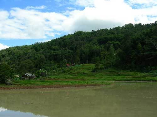 Индонезия: Papua-TanaToraja-Gili-Bali-Borobudur-2008