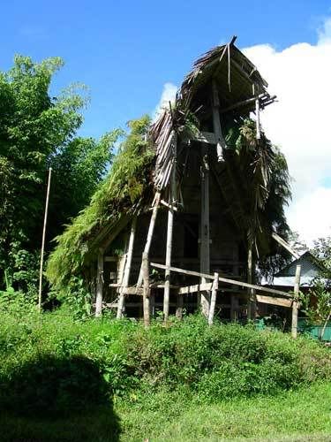 Индонезия: Papua-TanaToraja-Gili-Bali-Borobudur-2008