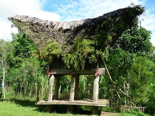 Индонезия: Papua-TanaToraja-Gili-Bali-Borobudur-2008