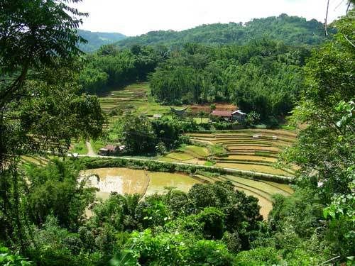 Индонезия: Papua-TanaToraja-Gili-Bali-Borobudur-2008