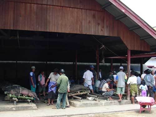 Индонезия: Papua-TanaToraja-Gili-Bali-Borobudur-2008