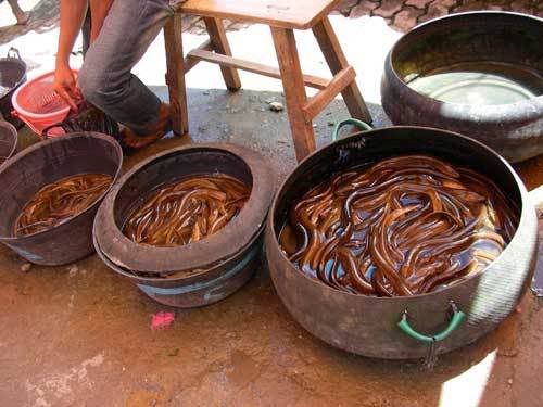 Индонезия: Papua-TanaToraja-Gili-Bali-Borobudur-2008