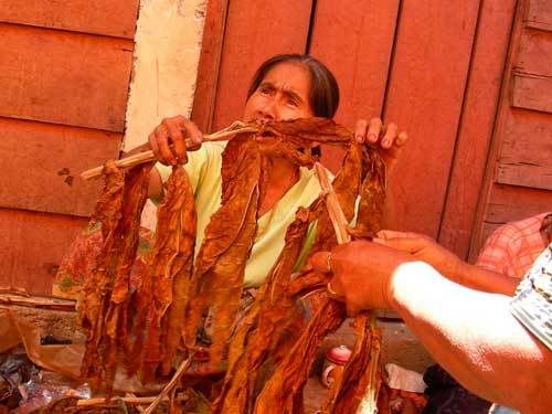 Индонезия: Papua-TanaToraja-Gili-Bali-Borobudur-2008