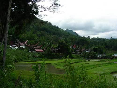 Индонезия: Papua-TanaToraja-Gili-Bali-Borobudur-2008