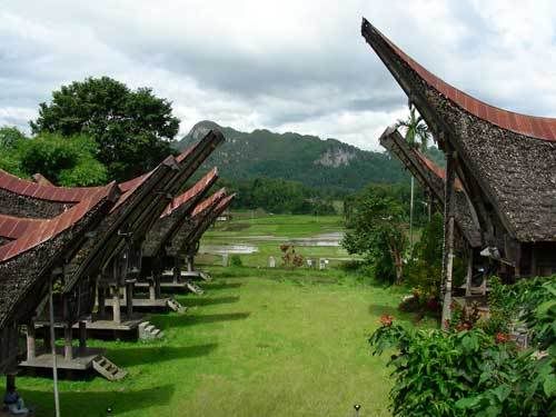 Индонезия: Papua-TanaToraja-Gili-Bali-Borobudur-2008