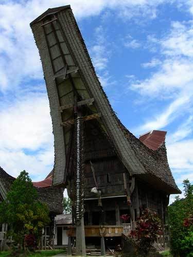 Индонезия: Papua-TanaToraja-Gili-Bali-Borobudur-2008