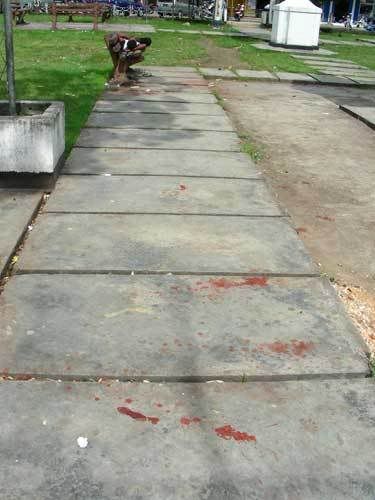 Индонезия: Papua-TanaToraja-Gili-Bali-Borobudur-2008