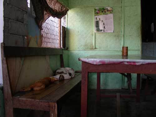 Индонезия: Papua-TanaToraja-Gili-Bali-Borobudur-2008