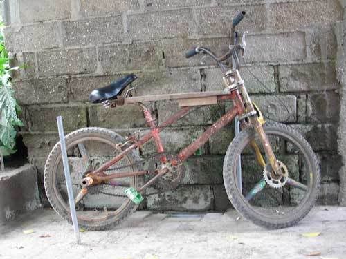 Индонезия: Papua-TanaToraja-Gili-Bali-Borobudur-2008