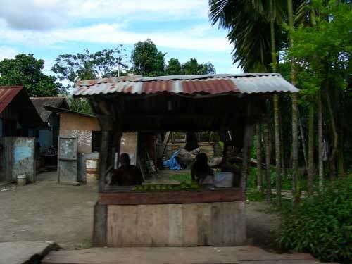 Индонезия: Papua-TanaToraja-Gili-Bali-Borobudur-2008