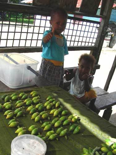 Индонезия: Papua-TanaToraja-Gili-Bali-Borobudur-2008