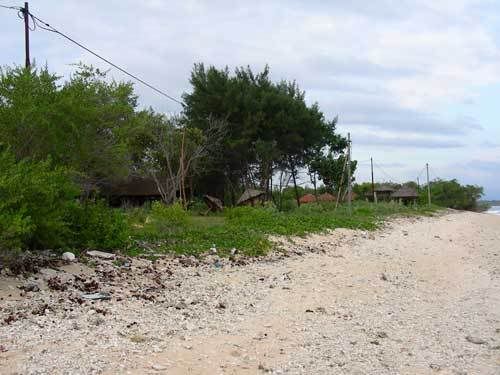 Индонезия: Papua-TanaToraja-Gili-Bali-Borobudur-2008