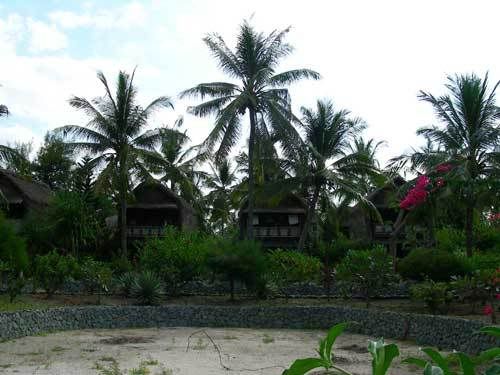 Индонезия: Papua-TanaToraja-Gili-Bali-Borobudur-2008