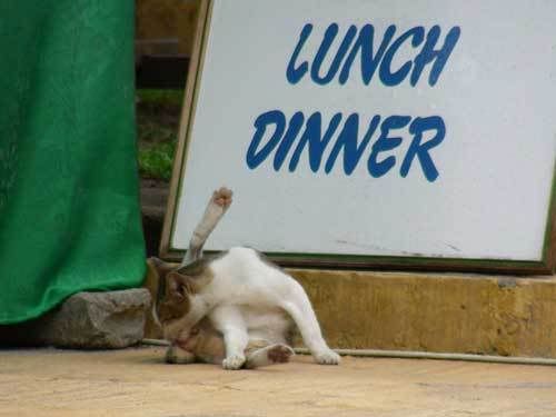 Индонезия: Papua-TanaToraja-Gili-Bali-Borobudur-2008