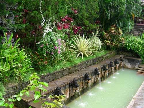 Индонезия: Papua-TanaToraja-Gili-Bali-Borobudur-2008