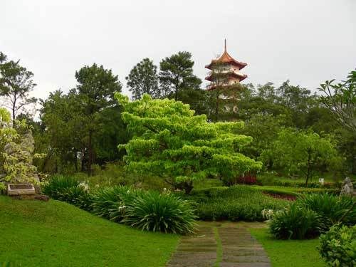 Индонезия: Papua-TanaToraja-Gili-Bali-Borobudur-2008