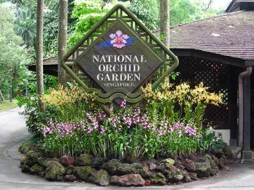 Индонезия: Papua-TanaToraja-Gili-Bali-Borobudur-2008