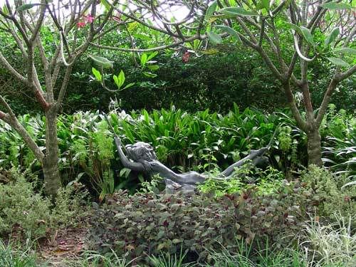 Индонезия: Papua-TanaToraja-Gili-Bali-Borobudur-2008