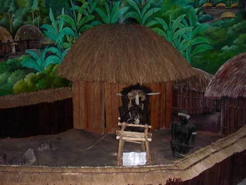 Индонезия: Papua-TanaToraja-Gili-Bali-Borobudur-2008