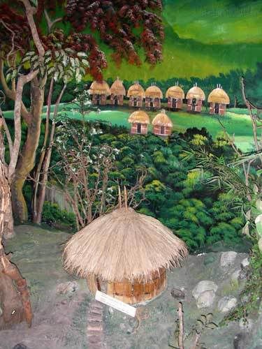 Индонезия: Papua-TanaToraja-Gili-Bali-Borobudur-2008