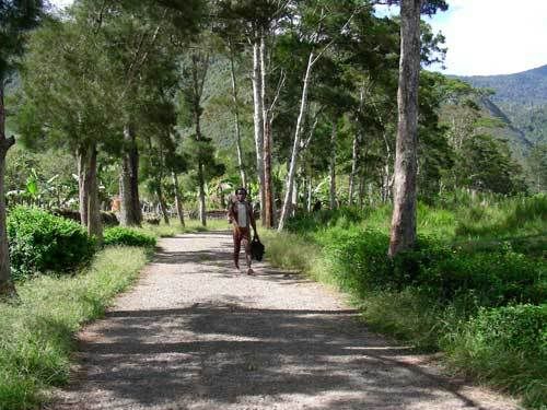 Индонезия: Papua-TanaToraja-Gili-Bali-Borobudur-2008