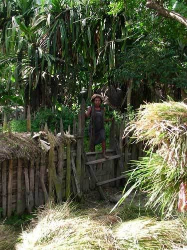 Индонезия: Papua-TanaToraja-Gili-Bali-Borobudur-2008