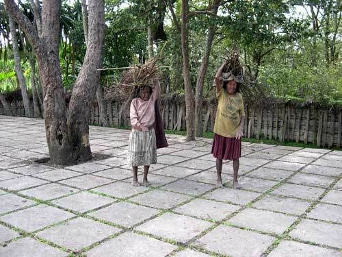 Индонезия: Papua-TanaToraja-Gili-Bali-Borobudur-2008