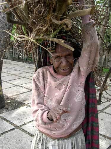Индонезия: Papua-TanaToraja-Gili-Bali-Borobudur-2008