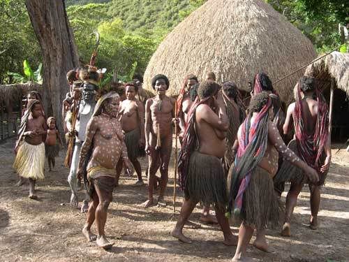 Индонезия: Papua-TanaToraja-Gili-Bali-Borobudur-2008