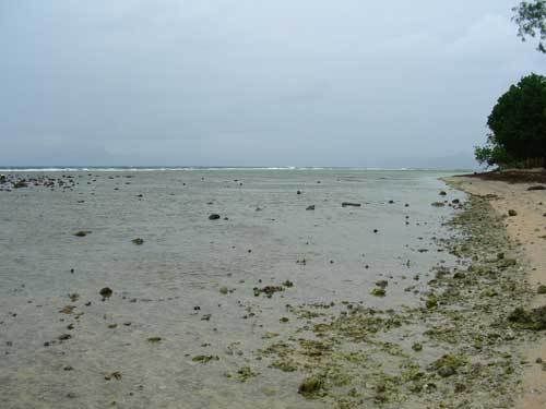 Индонезия: Papua-TanaToraja-Gili-Bali-Borobudur-2008