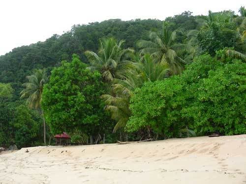 Индонезия: Papua-TanaToraja-Gili-Bali-Borobudur-2008