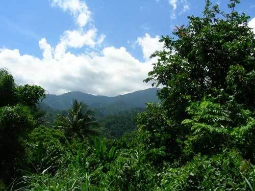 Индонезия: Papua-TanaToraja-Gili-Bali-Borobudur-2008