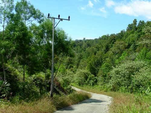 Индонезия: Papua-TanaToraja-Gili-Bali-Borobudur-2008