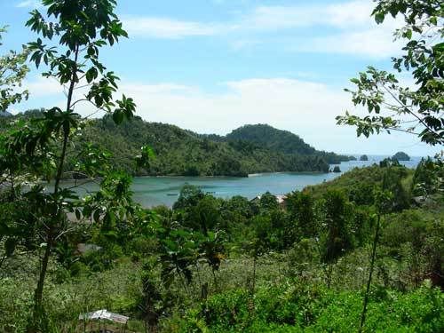 Индонезия: Papua-TanaToraja-Gili-Bali-Borobudur-2008