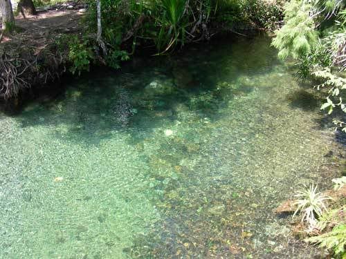 Индонезия: Papua-TanaToraja-Gili-Bali-Borobudur-2008