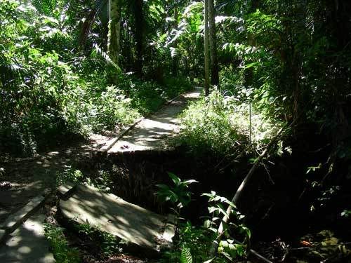 Индонезия: Papua-TanaToraja-Gili-Bali-Borobudur-2008