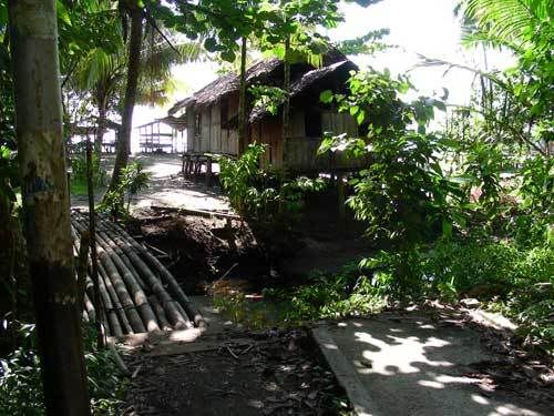 Индонезия: Papua-TanaToraja-Gili-Bali-Borobudur-2008