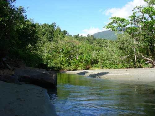 Индонезия: Papua-TanaToraja-Gili-Bali-Borobudur-2008