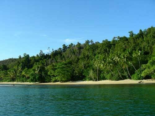 Индонезия: Papua-TanaToraja-Gili-Bali-Borobudur-2008