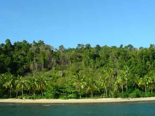 Индонезия: Papua-TanaToraja-Gili-Bali-Borobudur-2008