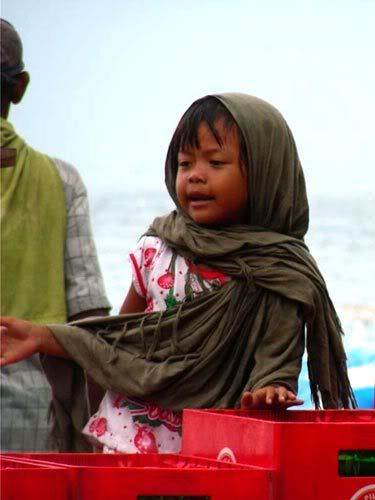 Индонезия: Papua-TanaToraja-Gili-Bali-Borobudur-2008