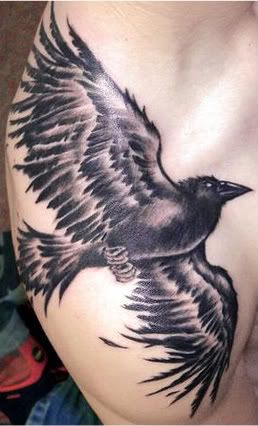  Crow Tattoos on Crow Jpg Crow Tattoo
