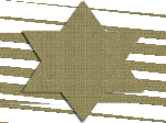 250 250