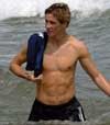 fernando torres